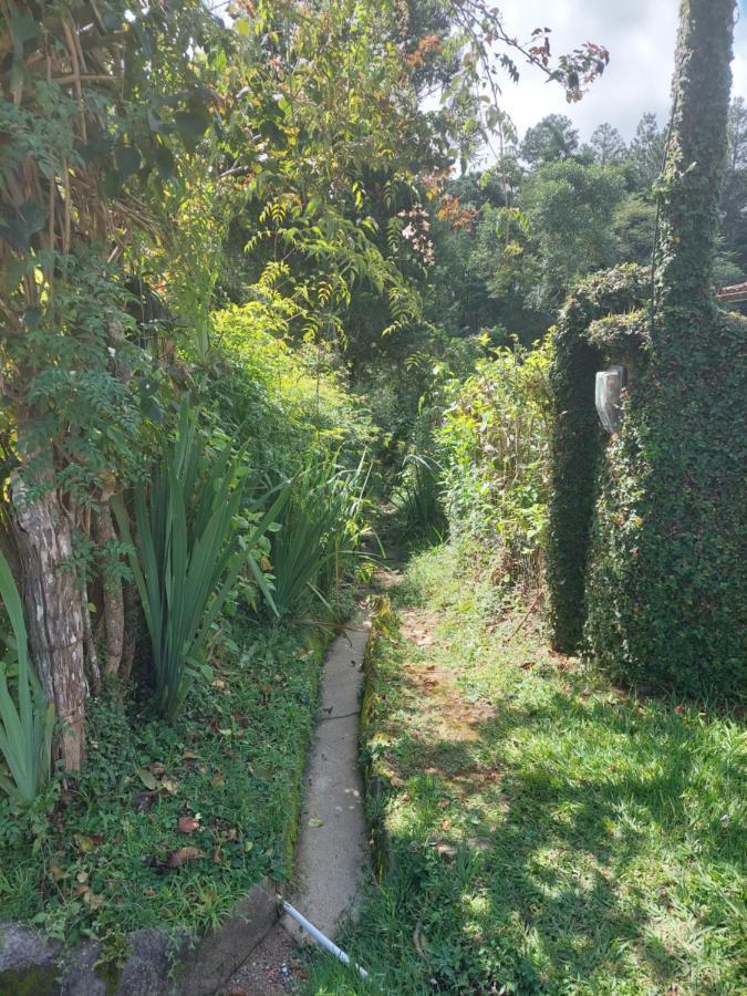 Casa Canto Verde 维奥康德马奥 外观 照片